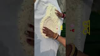 #chhathpuja #chhath #bihar #patna #india #bihari #chhathmahaparv #bihartourism#chhathparv#biharsehai