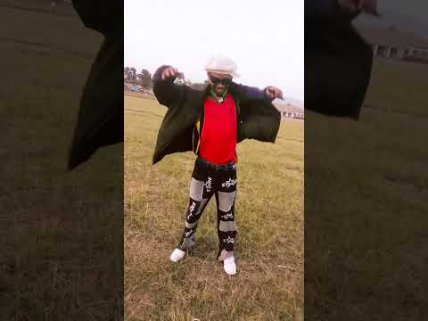 chino amfikii alostar ⭐ kudance