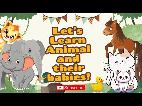Animal Babies for Kids | Learn Baby Animal Names | Preschool Learning Video 