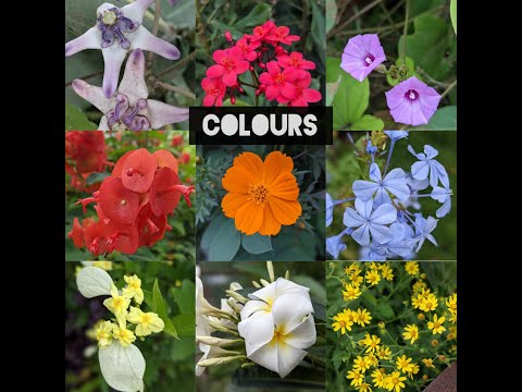 Different colours, One India I Happy Republic day