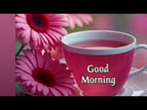 Good #morning my #YouTube# family most welcome my all #friends @creator Pinky☕☕☕🥪🥞