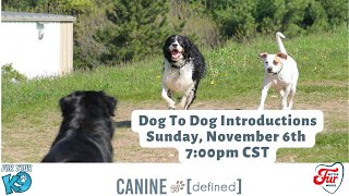 Dog to Dog Introductions