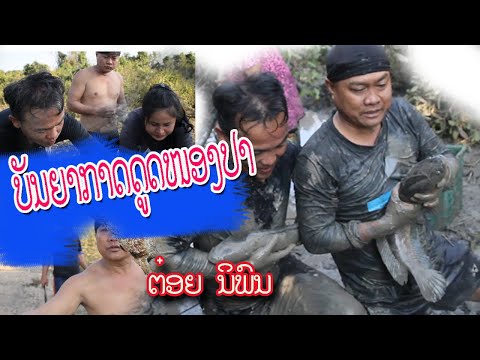 ບັນຍາກາດດູດຫນອງປາ ຕ໋ອຍ ນິພົນ