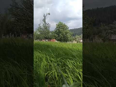 The realistic video is not human-level. #ytshorts #shortsfeed #song #beauty #nature