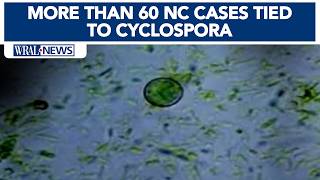 More than 60 North Carolina cases tied to parasite behind 'explosive diarrhea'