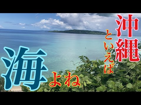 沖縄といえば海でしょ／東村ウッパマビーチ・今帰仁村、村民の浜