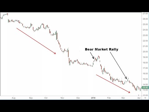 Bear Market Rally | English Lesson