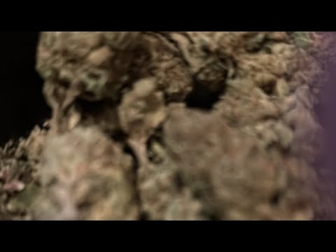 Bathroom blunt (joint)