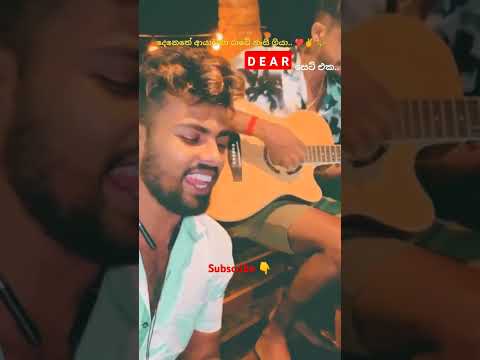 දෙනෙතේ ආයාචනා ❤ රාවේ නෑසී ගියා.. 🥺💚 #guitarcover #music #guitarperformance #explore @dearsrilanka