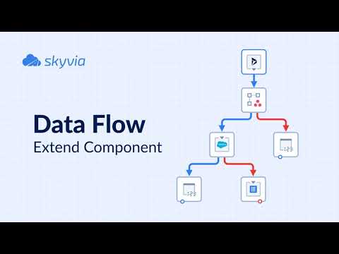 Data Flow. Extend Component