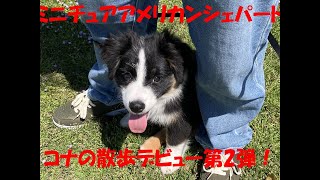 お散歩行きMAS！コナ、出陣！②