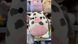 I found Colin the Squishmallow cow at Walgreens today!