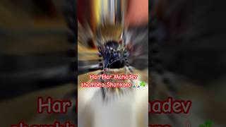 #10th #day #pooja #darsan #harharmahadev #harhar #shambhu #shiva #mahadeva #viralvideo 🙏🏻🌿☘️