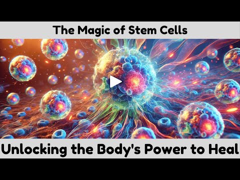 The Magic of Stem Cells: How They Heal and Transform Medicine 🌟