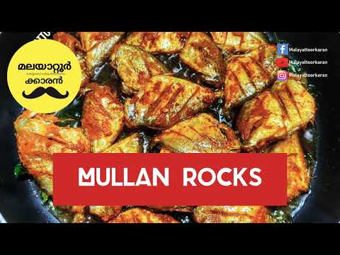 മുള്ളൻ Rocks| Mullan Fry | Malayattoorkaran #FishFry #Food