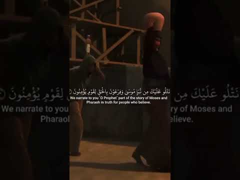 قصص الانبياء #قرآن #آية_الكرسي #سورة_البقرة #الطمأنينة #السكينة #الله #short #quran #islam #fyp