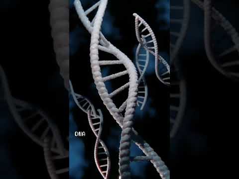 DNA 🧬 #3d #animations #medicosphere #viral #shorts #medical #anatomy #medicos #physiology #science