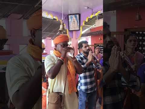 काली माता मंदिर मे गुंजा पावन शंखनाद