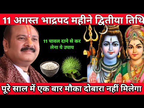 11 अगस्त सोमवार द्वितीया को 11 चावल दाने वाला उपाय जरुर करे || Pradeep Ji Mishra #pradeepmishraji 