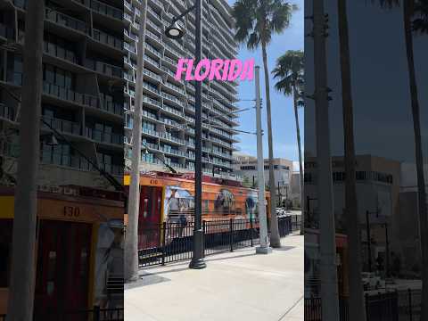 Beauty of Florida#trending#travel #viral#viralvideo #shorts #youtubeshorts #florida #status#train