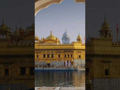 A day at Golden Temple Langar #shorts #viral #youtubeshorts #goldentemple