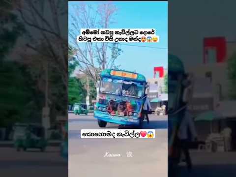 මෙව්වනෙ නැවිලි❤️😱#busworld #automobile#newbusvideo #vahicles#slvehicles#dhamrejini #trending#driver