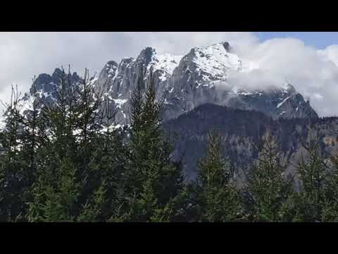 meditation and relaxation in just 5 minutes