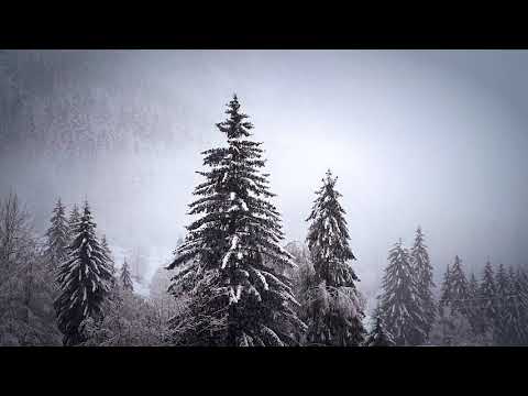 Mindful Minute - Snowy Forest (Classroom, Studying, School Mental Break)