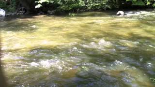 RiverSound