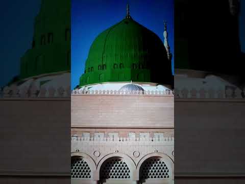 Jashn e Amad e Rasool - Farhan Ali Qadri #islam #freepalestine #shorts #youtubeshorts #shortvideo