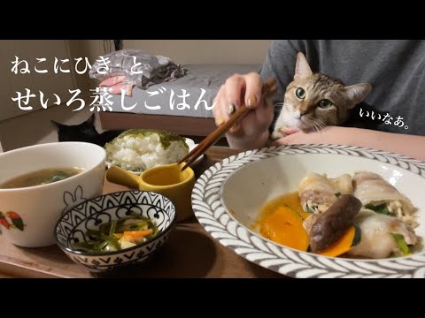 ねこ2匹とせいろ蒸しごはんの日