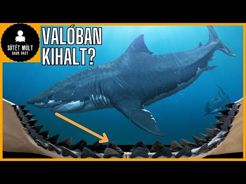 Megalodon története magyarul
