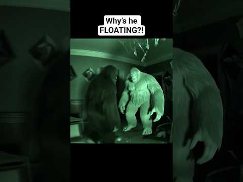 Why’s he FLOATING?! | Bigfoot Vlogs #bigfootvlog