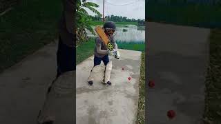 Flick shot drill #shorts cricket practice 💯🏏 [akashdubey]