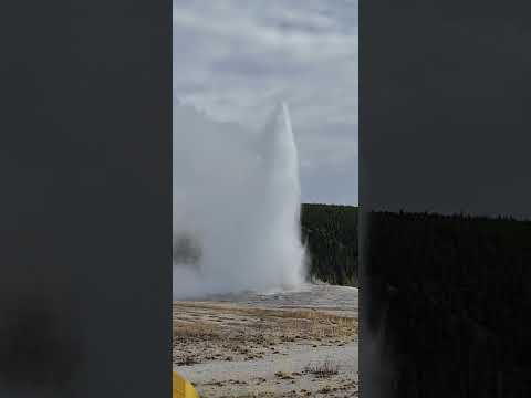 #oldfaithful #geyser #yellowstone #yellowstonenationalpark