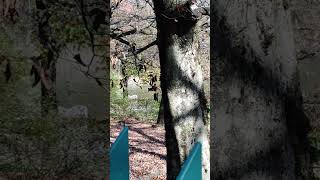 LAGO DI MONTICOLO @cristiancari1989  #lago #monticolo #appiano #acqua #natura