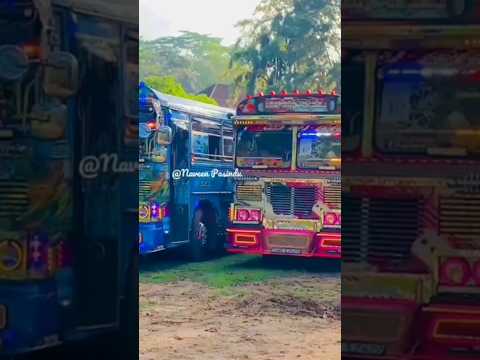 kandy Holland sapa nau #bus #busdjnonstop #dj #busdj #srilanka #busdriver