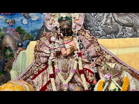 Shri radhavallabh lal ju maharaj ke vivha utsav ke manmohak darshan shri dham vrindavan