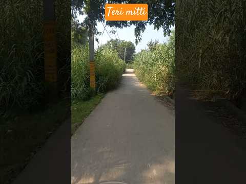 #teri mitti me mil jawan #love #song #watsappstatus #automobile #nature