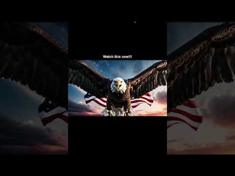 American Eagle! #veteran #patriots #usa #warzone #war #metallica #rock @mmviralgodtiktok