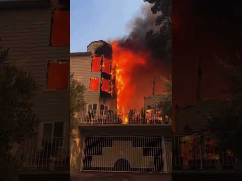 Palisades Fire 😢|High Winds Spark Chaos in Los Angeles 🔥🚒 #wildfire