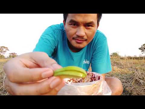 ASMR กินมะม่วง จิ้มปลาร้า | กินมะม่วงจิ้มแจ่วปลาร้า | แซ่บๆ เผ็ดร้อนแรง