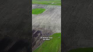 This Is Why Your Soil Problems Keep Getting Worse