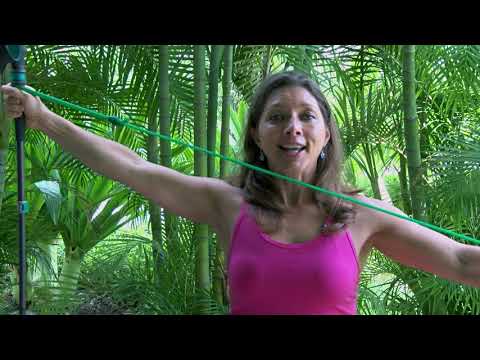 Shoulder Stabilization -Isometric Training