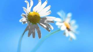 Windows 8 Configuring Lesson 14 Configure Shared Resources