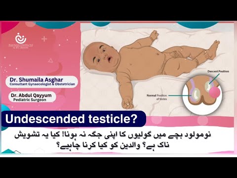 Undescended Testicles in Newborn Babies: What Parents Need to Know