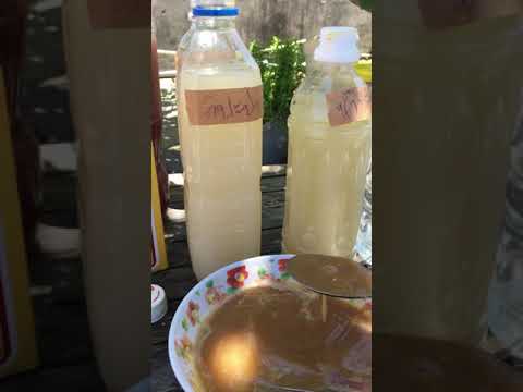 วิธีทำจุลินทรีย์สังเคราะห์แสงแบบไม่มีหัวเชื้อ ภาค2