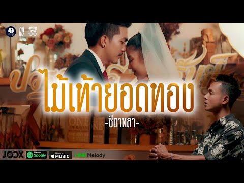 ไม้เท้ายอดทอง - ซี ดาหลา【OFFICIAL MV】