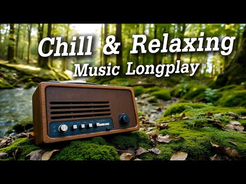 Chill & Relax Music Vol.13 | รวมเพลงสากลเพราะๆ ฟังสบาย ผ่อนคลายได้ทั้งวัน - Music for a Peaceful Day