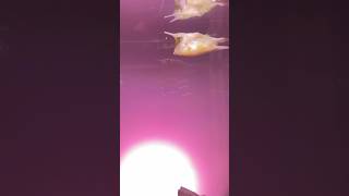 モゾワンダーシティー（UNDER WATER SPACE）アンダーウォータースペース